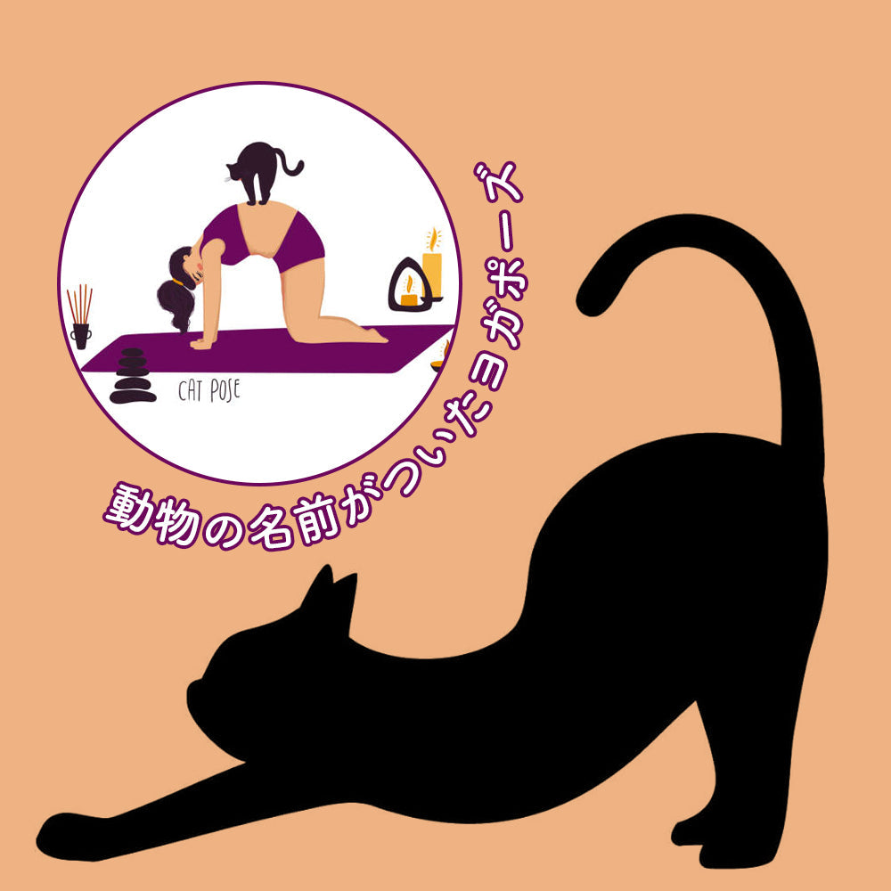 動物の名前がついたヨガポーズ