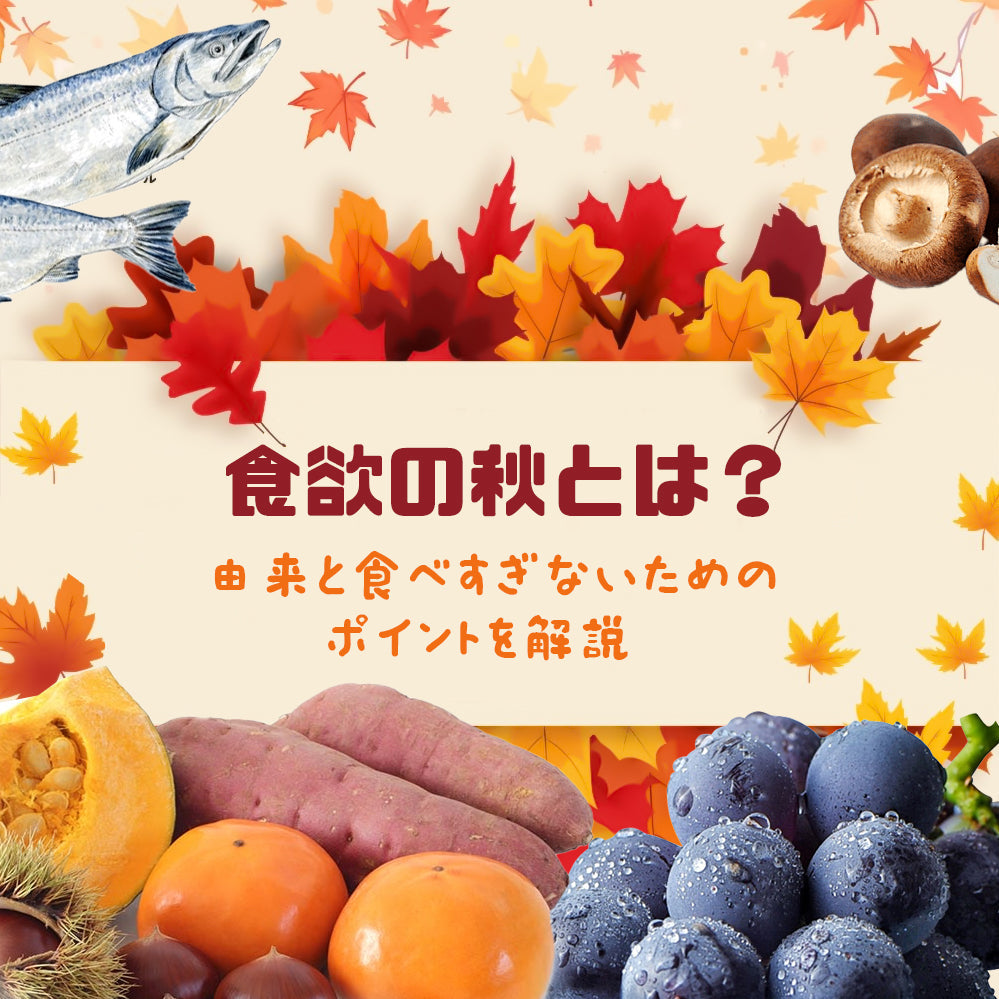 食欲の秋とは？ 由来と食べすぎないためのポイントを解説