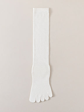 ベーシック 無地 リブ ミドル丈 5本指ソックス