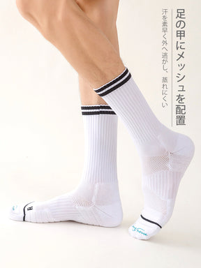 メンズ  スポーツ ダブルライン 普段使い クルーソックス
